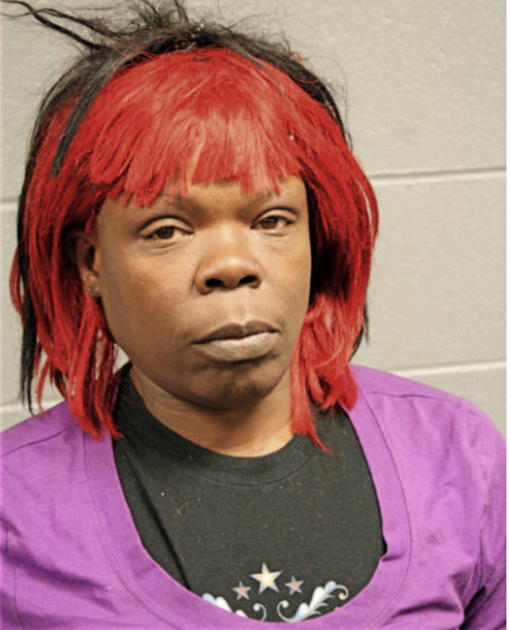 ELVIRA R BIBBS, Cook County, Illinois