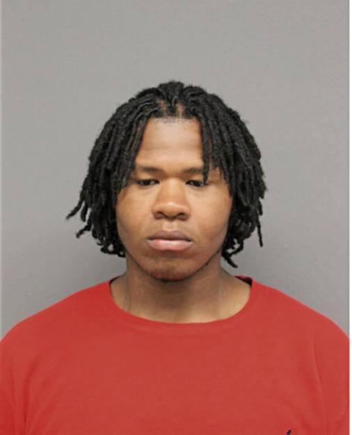 MICHAEL L COBB, Cook County, Illinois