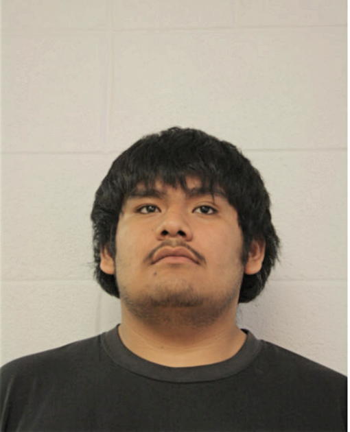 JAVIER A DETEJADA, Cook County, Illinois