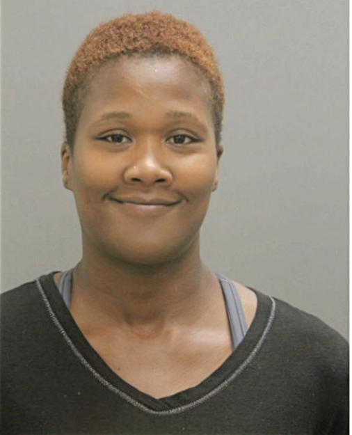 TRACI L EMERY, Cook County, Illinois