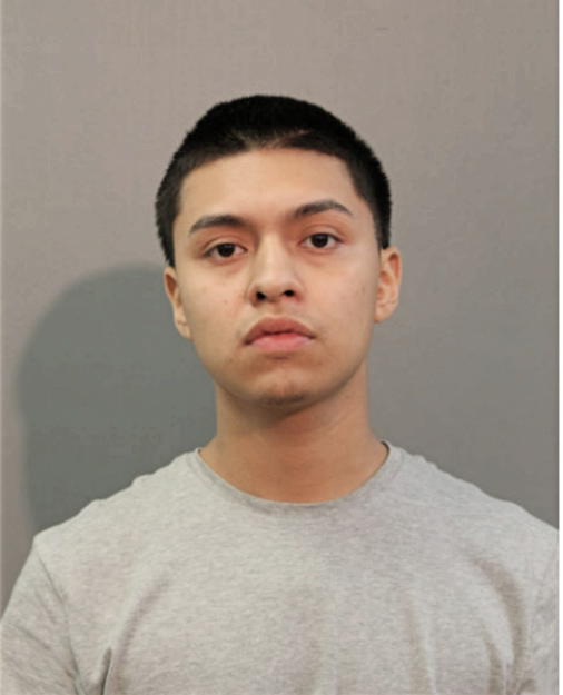 CARLOS J FABIAN, Cook County, Illinois
