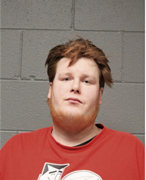 NATHAN L FERGUSON, Cook County, Illinois