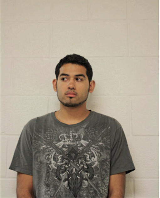 ARNOLD FLORES, Cook County, Illinois