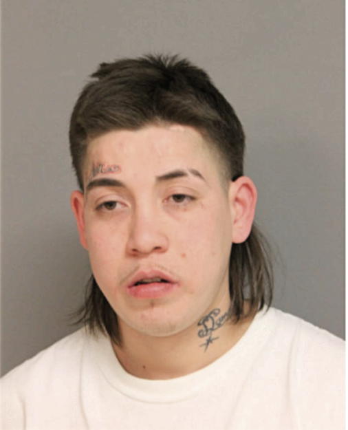 ERICK FLORES, Cook County, Illinois