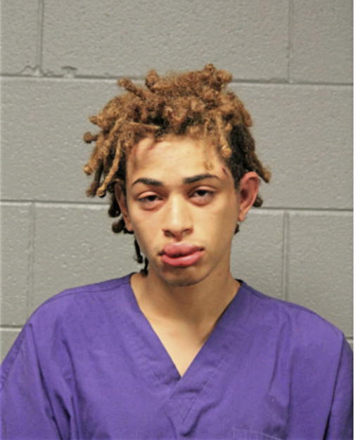 TYGER E GARNER, Cook County, Illinois