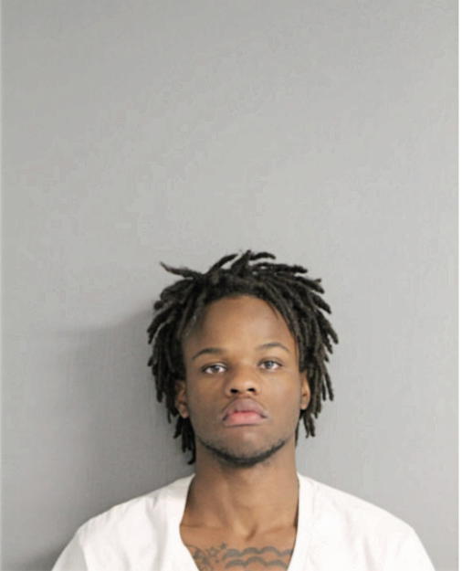 TERRENCE 0 GIVENS, Cook County, Illinois
