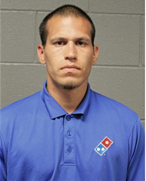 DAVID J GURNEAU, Cook County, Illinois
