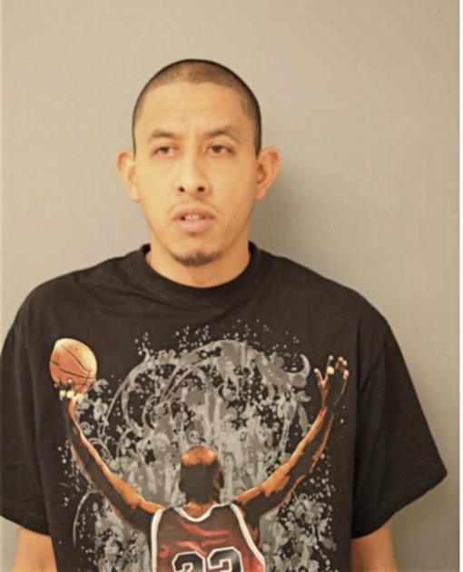 JOSE L HERNANDEZ, Cook County, Illinois