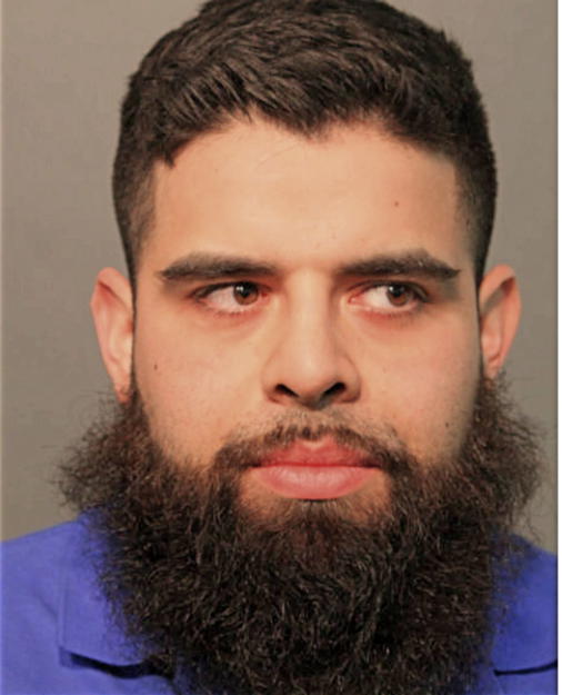 LUIS FERNANDO HERNANDEZ, Cook County, Illinois
