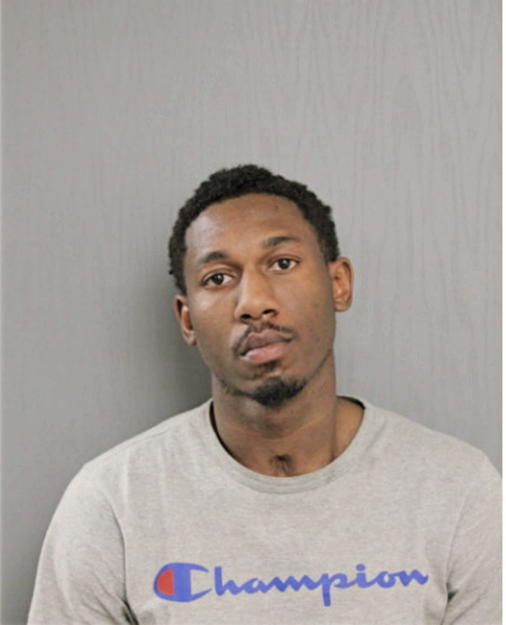 STEPHAN M HERRING, Cook County, Illinois
