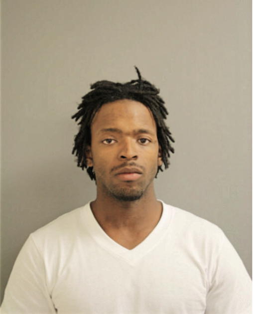 PAUL L HILL, Cook County, Illinois
