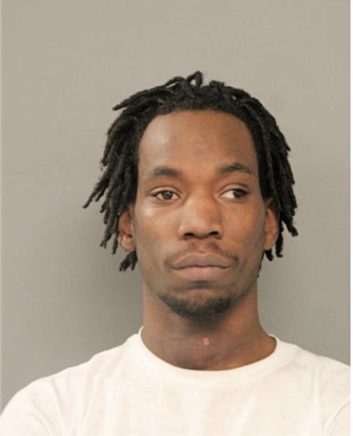DAKOTA J HOLT, Cook County, Illinois