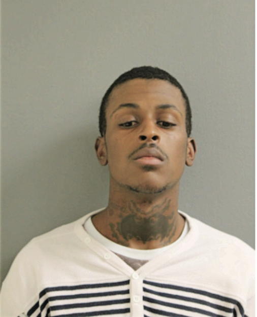 WHITEHEAD J JAMES, Cook County, Illinois