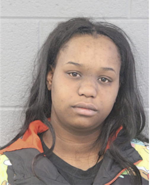 JANYA L JOHNSON, Cook County, Illinois