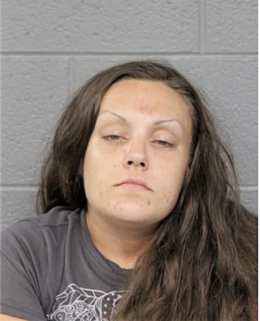 ROBYN A JOHNSON, Cook County, Illinois