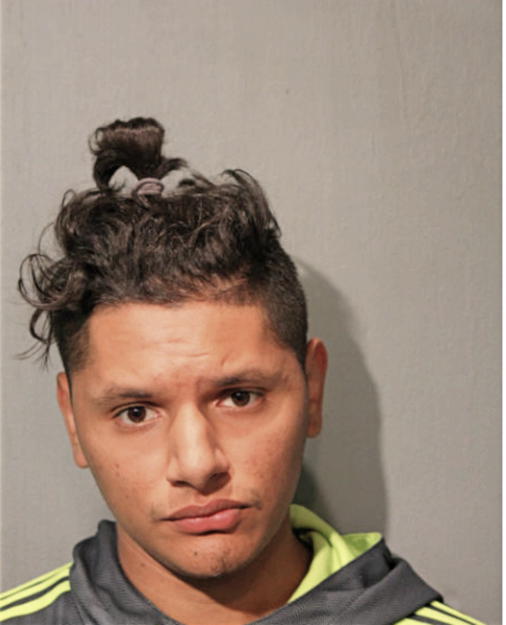 VICTOR LARA, Cook County, Illinois