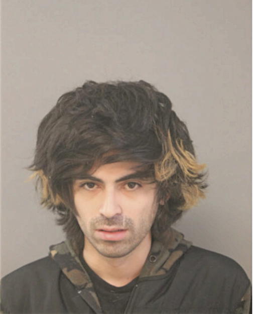 TRISTAN P LOPEZ, Cook County, Illinois
