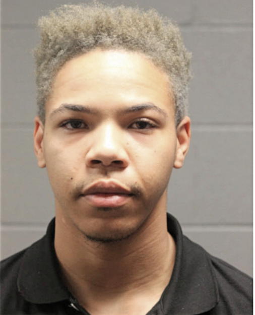 BRANDON K MAHONE, Cook County, Illinois