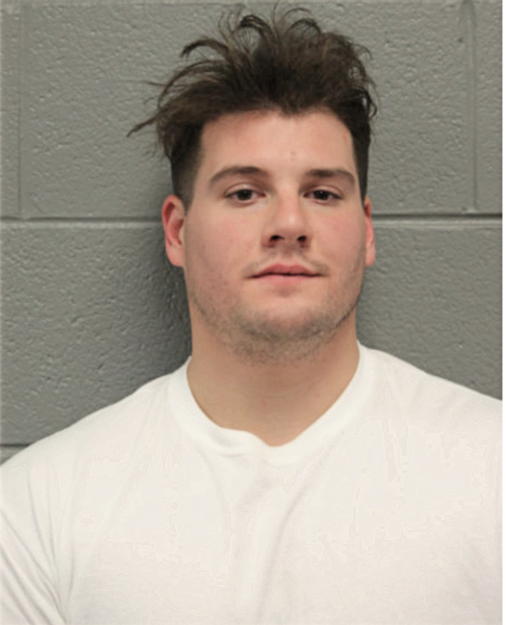 ANTHONY R MALEK, Cook County, Illinois