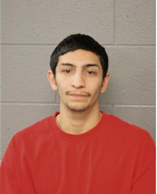 RICARDO MORALES, Cook County, Illinois
