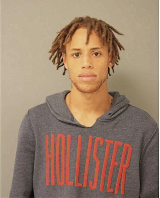 MICHAEL M PURNELL, Cook County, Illinois