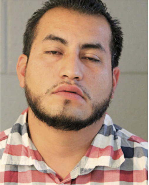 IRVING OMAR REVELES, Cook County, Illinois