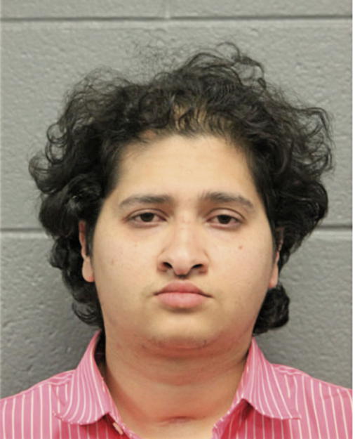 FAISAL RIZVI, Cook County, Illinois