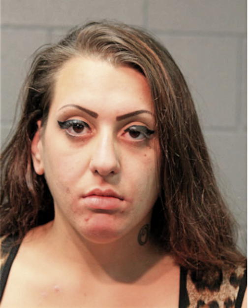 NINA A SCAVONE, Cook County, Illinois