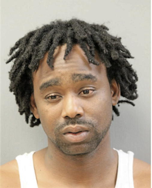 JULIAN W SYKES, Cook County, Illinois
