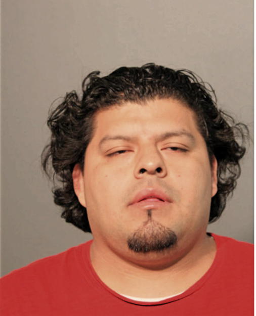 MARIO M TORRES, Cook County, Illinois