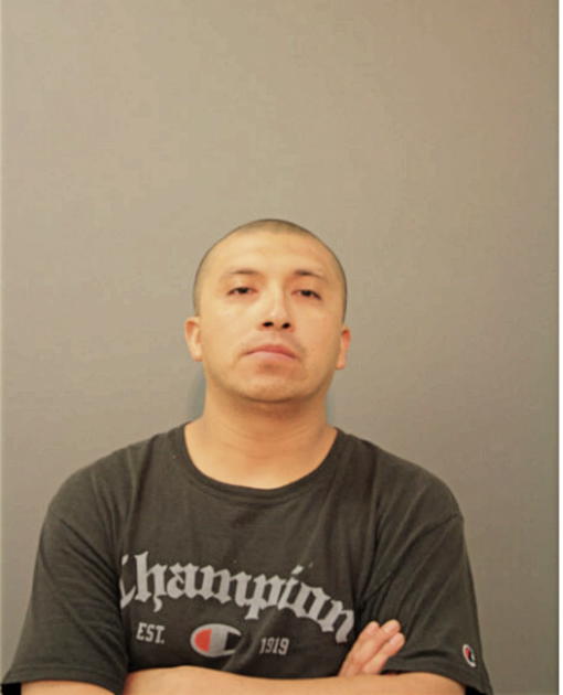 ERNESTO VILCHIS, Cook County, Illinois