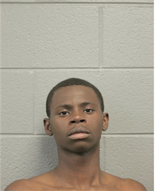 ROBERT A WOODS, Cook County, Illinois