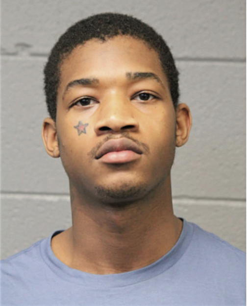 DAMIEN E BEAL, Cook County, Illinois