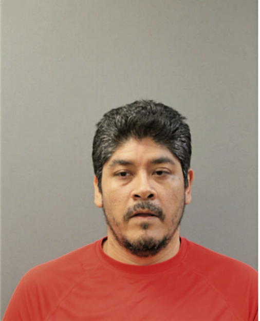 JUAN NATIVIDAD CALLES GALLEGOS, Cook County, Illinois