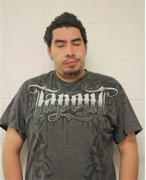 LUIS M CANO, Cook County, Illinois