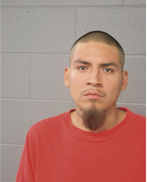 REY GARCIA, Cook County, Illinois