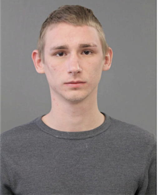JOSHUA A HEATH, Cook County, Illinois