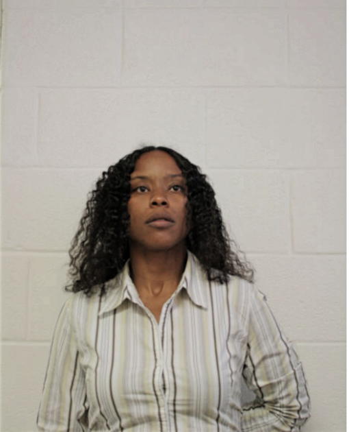 MEGAN J IRWIN, Cook County, Illinois