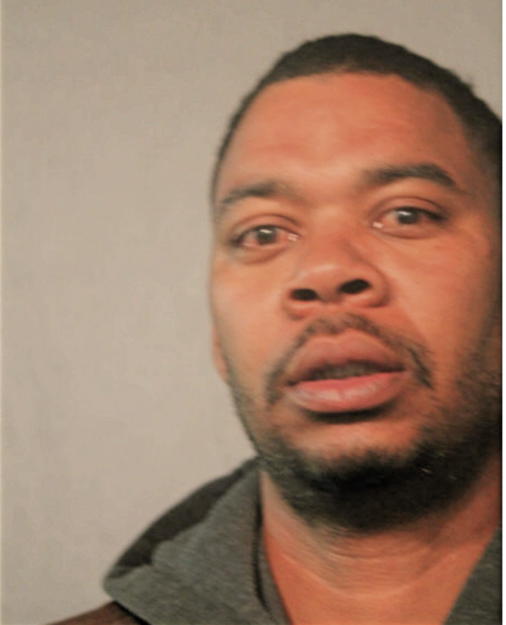 MICHAEL L JOHNSON, Cook County, Illinois