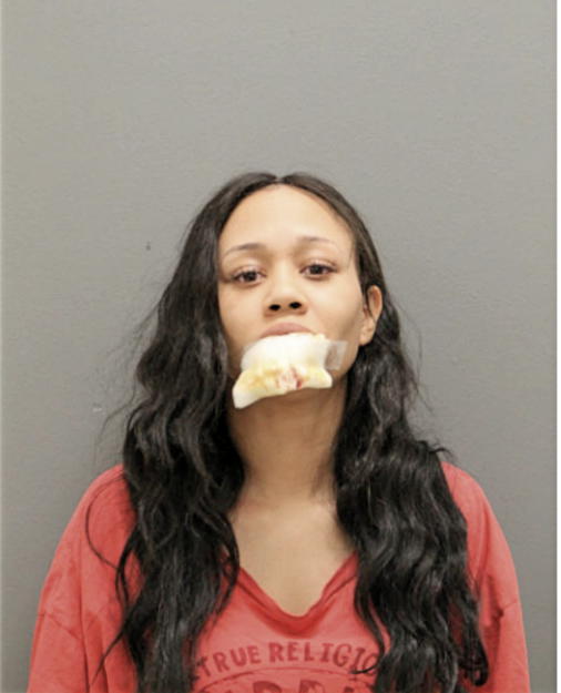 LASAADIA I JONES, Cook County, Illinois
