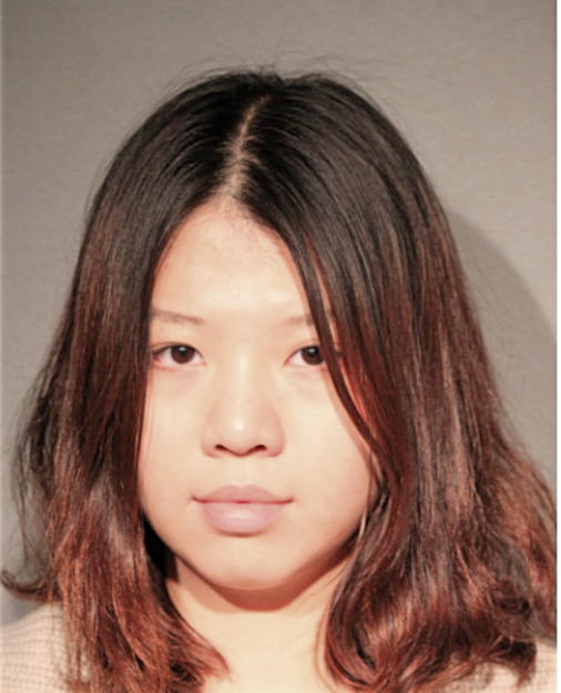 YUZHOU LIU, Cook County, Illinois