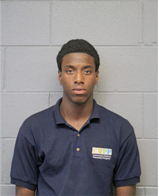 DARIUS C NICKELSON, Cook County, Illinois