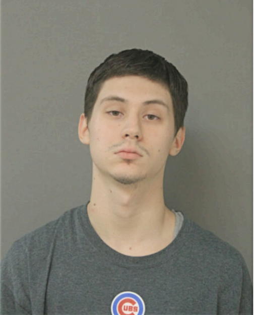 ALEXANDER X PAGAN, Cook County, Illinois