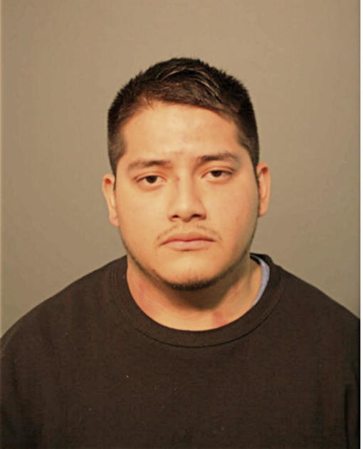 LUIS A PATRICIO, Cook County, Illinois