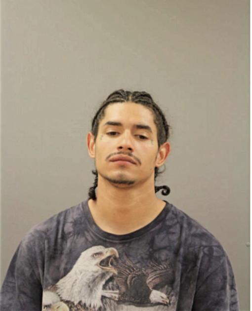 LUIS RAMOS, Cook County, Illinois