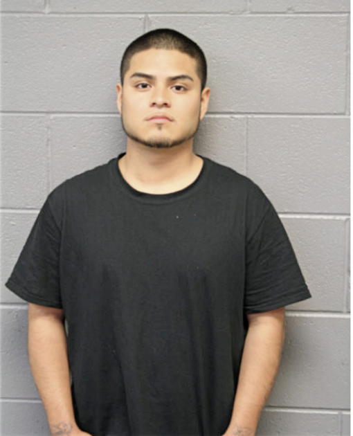 ANDRES RAYA, Cook County, Illinois