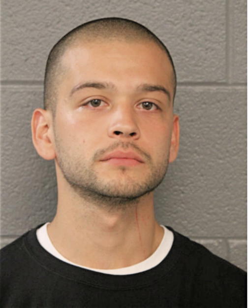 FERNANDO REYES, Cook County, Illinois