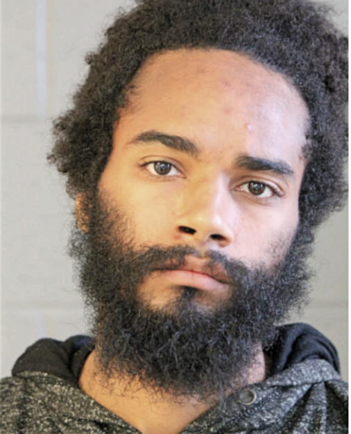 JAVON B SHELTON, Cook County, Illinois
