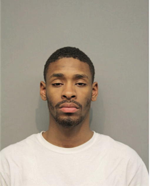 KEVIN L SNULLIGAN, Cook County, Illinois