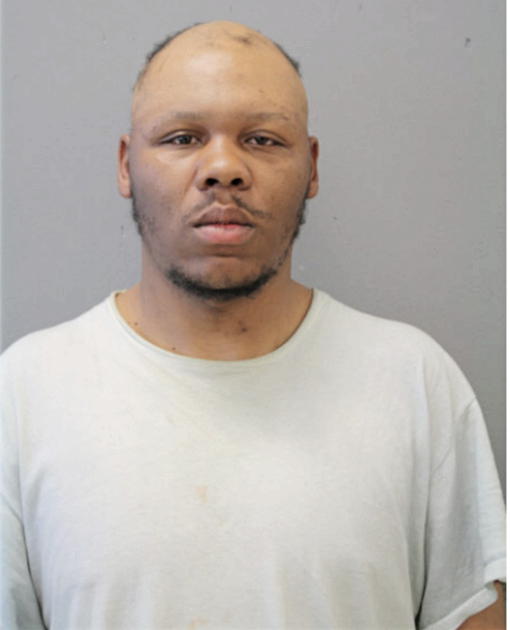 CHRISTOPHER L WARREN, Cook County, Illinois